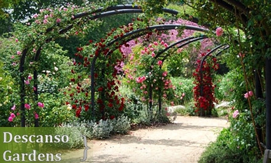 Up To 59 Off At Descanso Gardens Descanso Gardens Groupon