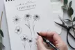 Start Your Artistic Journey: Drawing & Illustration for Beginners at International Open Academy (Up To 92% Off) - Image 3