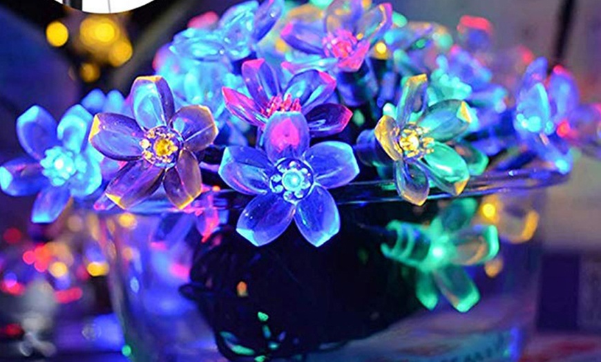 Image 11: 50 LED Multi-Coloured Solar Cherry Blossom Lights Options
