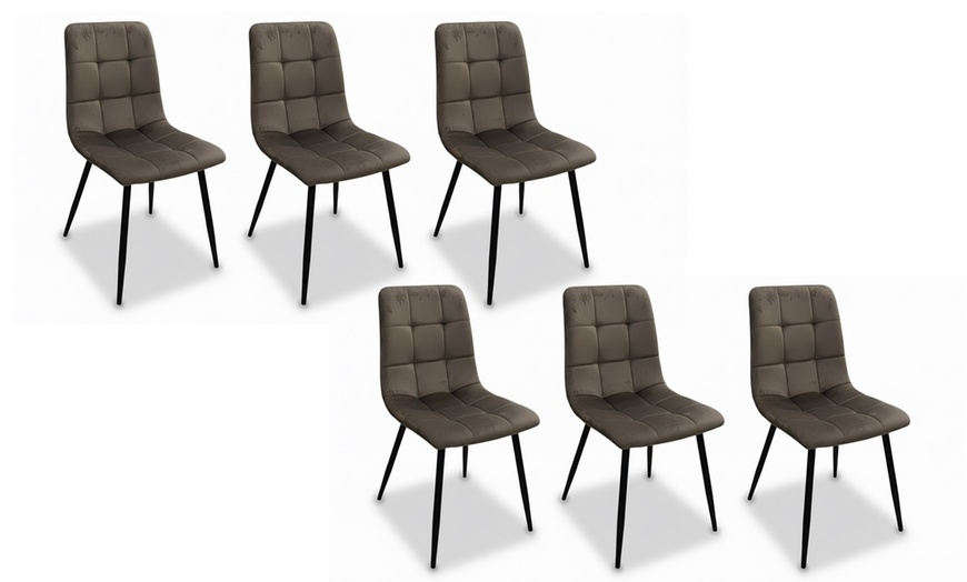 Image 7: Set 6 sedie Andromeda imbottite