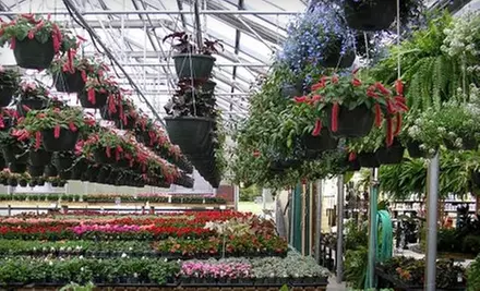 $15 for $30 Worth of Flowers and More at Ashwood Gardens & Nursery in Ashland - Primary Image