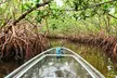 Explore Clam Bayou: 120-Minute Clear Kayak Mangrove Eco Tour - Second Medium