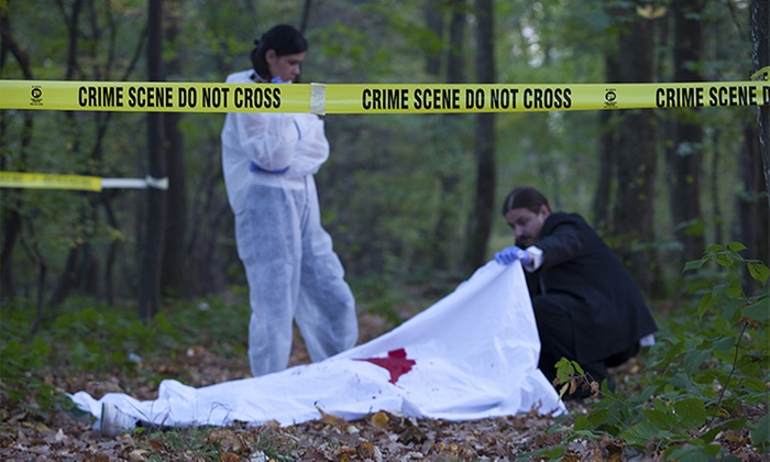 3 cursos online de criminalística