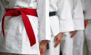 Try Two Weeks of Unlimited Martial Arts Classes with a Belt