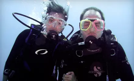 $29 for a Discover Scuba Class at ASK Divers ($100 Value) - Primary Image
