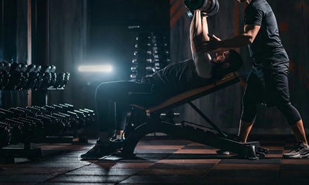 3 Months Online Personal Training - harryghughesfitness