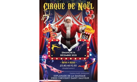 1 place en catégorie normale, le 14 décembre 2025 à 14h - CIRQUE NOEL DE DIJON
