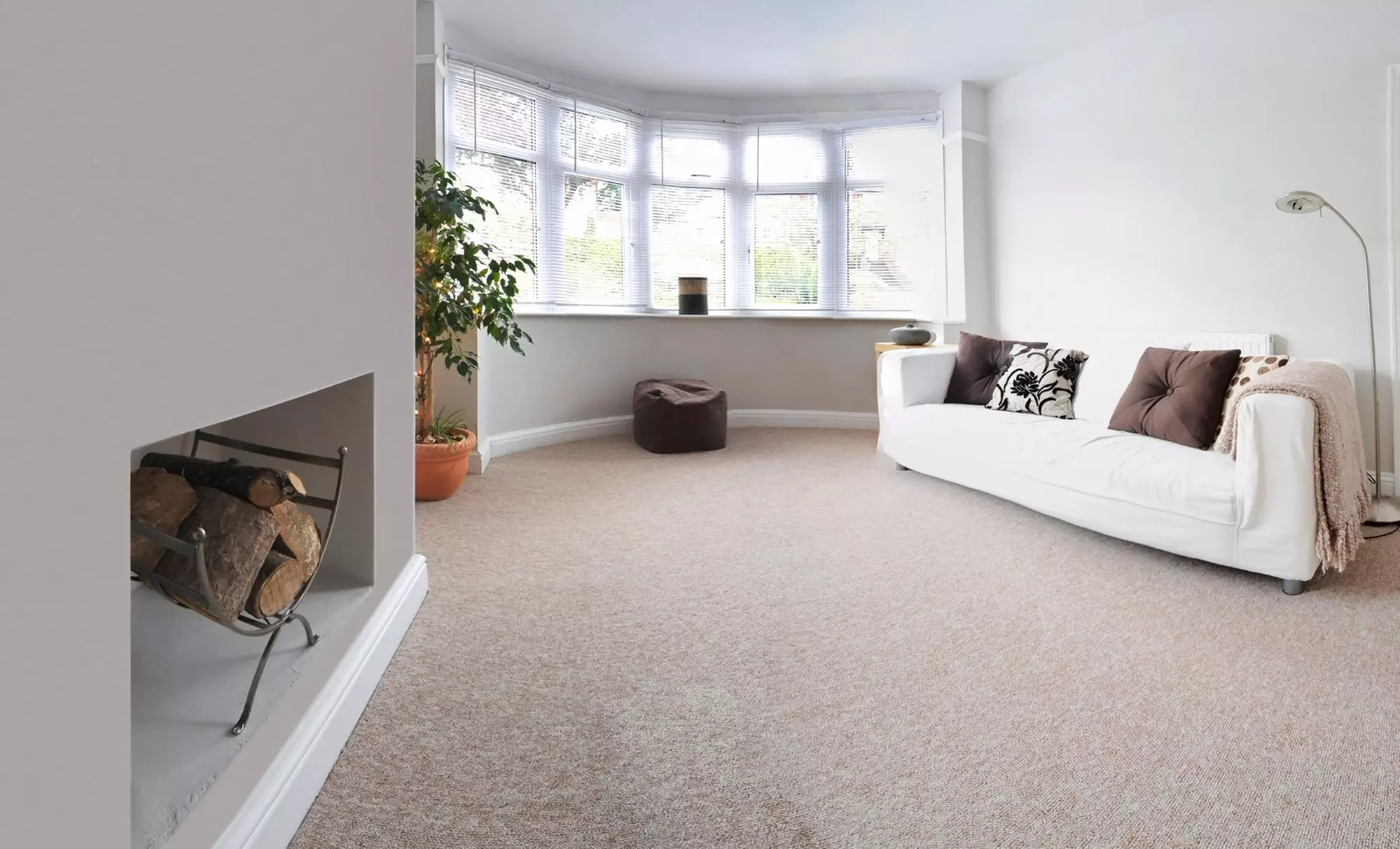 $47 for $105 Worth of Rug and Carpet Cleaning — Sunflower Carpet and Floor Care - Primary Image