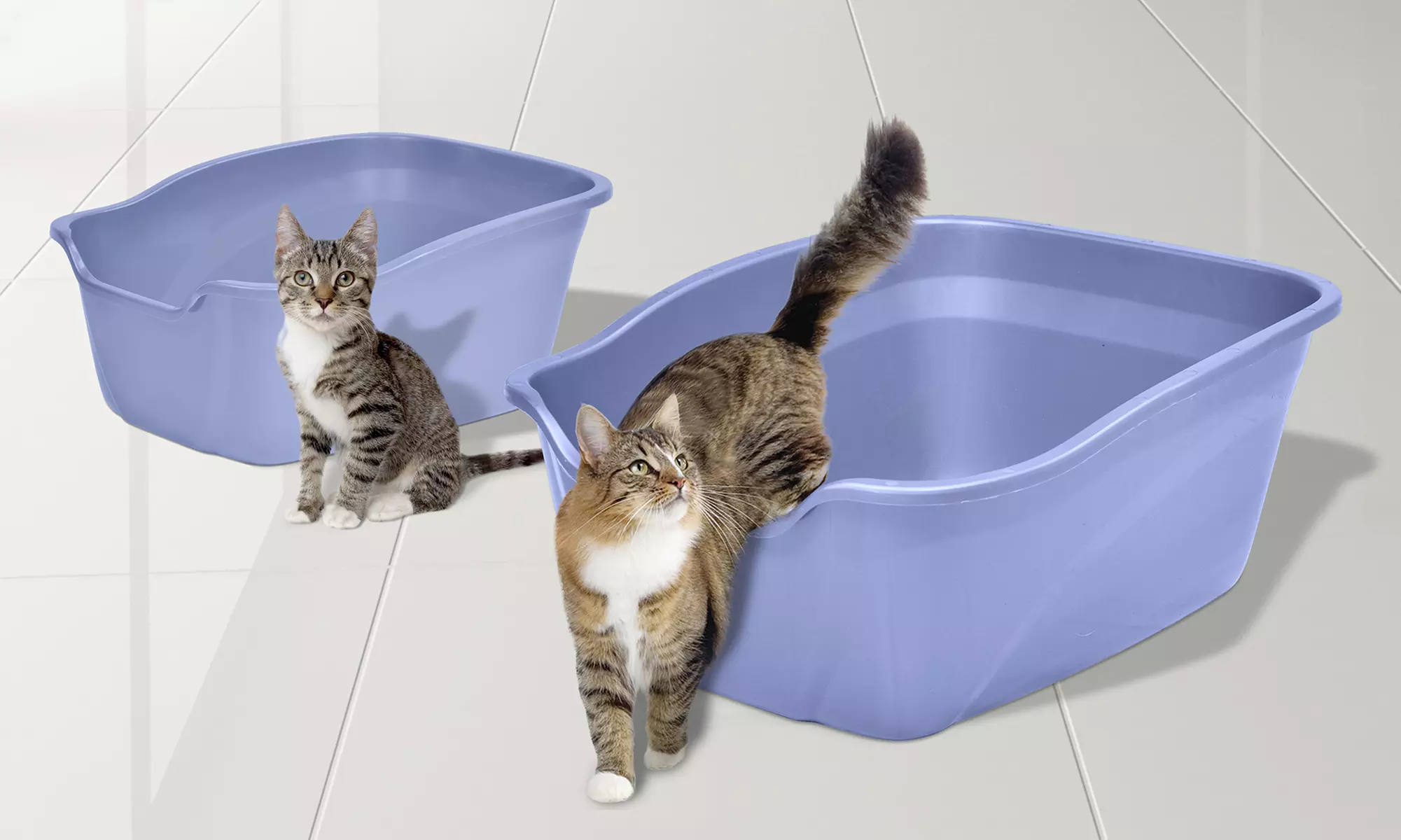 Van Ness Litter Scatter Control Litter Pan - Primary Image