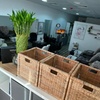 Image 3: Pampering Nail Care: Manicure, Pedicure & Gel Options