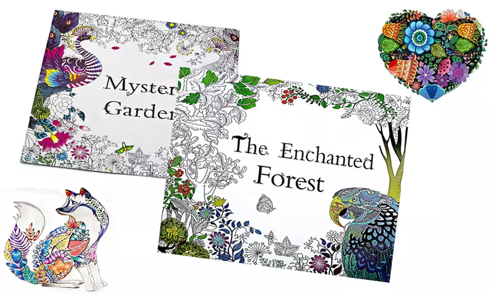 1 ou 2 livres de coloriage anti-stress dès 9,90 € (jusqu'à 55% de réduction) - Primary Image