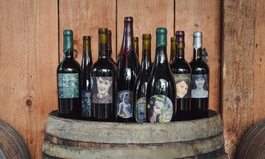 Image 4: Experience Wine Tasting for 1, 2, or 4 People w/ Charcuterie Board