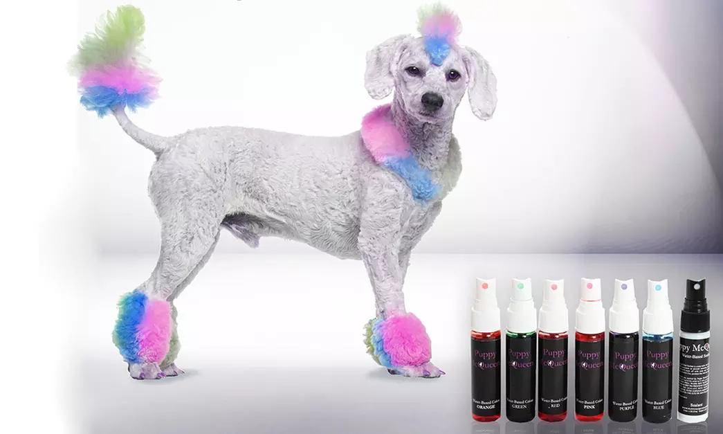 Temporary Dog Fur Color and Sealant (7-Piece)
 - Primary Image