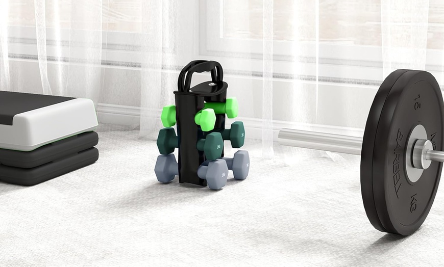 Image 7: SPORTNOW Dumbbells Set with Carry Storage Rack