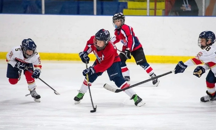 Image 3: Ice Skating & Learn-to-Skate Classes at Miami Ice Arena