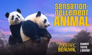 ZooParc de Beauval : billet adulte / enfant 1 ou 2 jours pour un tour du monde animal (jusqu'à 32% de remise)