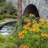 Image 6: Admission to Atlanta Botanical Garden – Midtown Urban Oasis