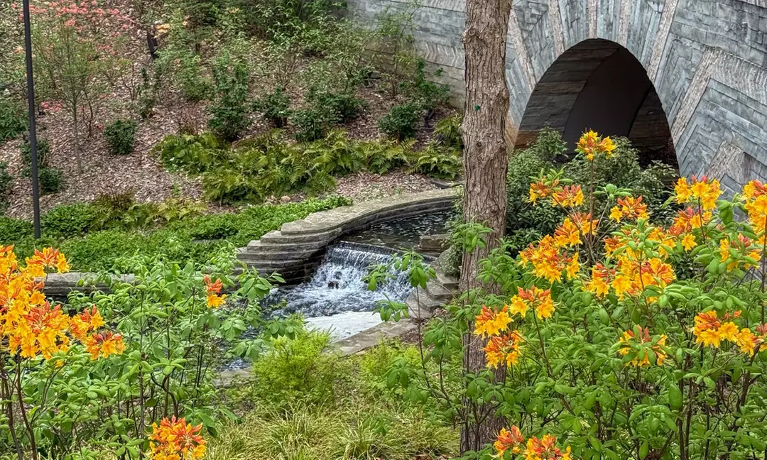 Admission Tickets to the Largest Botanical Garden in Southeast Atlanta