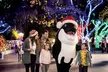 HOLIDAY SALE! Save 68% on SeaWorld San Antonio Tickets, Fun Cards & Meal Deals - Second Medium