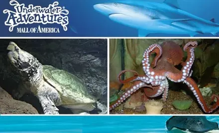$10 Admission to Underwater Adventures Aquarium - Primary Image