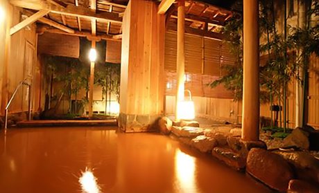 兵庫/有馬温泉　日帰り温泉（入浴料＋ハンドタオル）/全日可/予約不要
