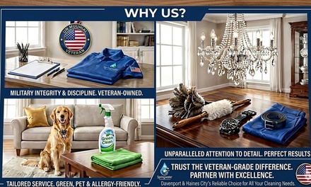 1 Hour of House Cleaning with One Cleaner - Springwater Cleaning Services