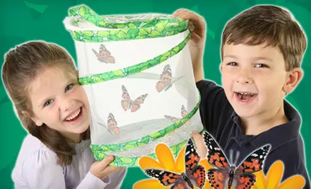 Butterfly Garden with Live Caterpillars or Insects and Accessories from Insect Lore - Primary Image
