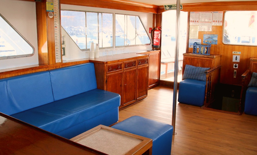 Image 8: Excursión de 4 horas en barco para avistar ballenas y delfines