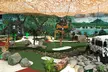 Discover Endless Fun and Excitement: Dive into Jungle Creek's Thrilling Adventure Golf - Image 2