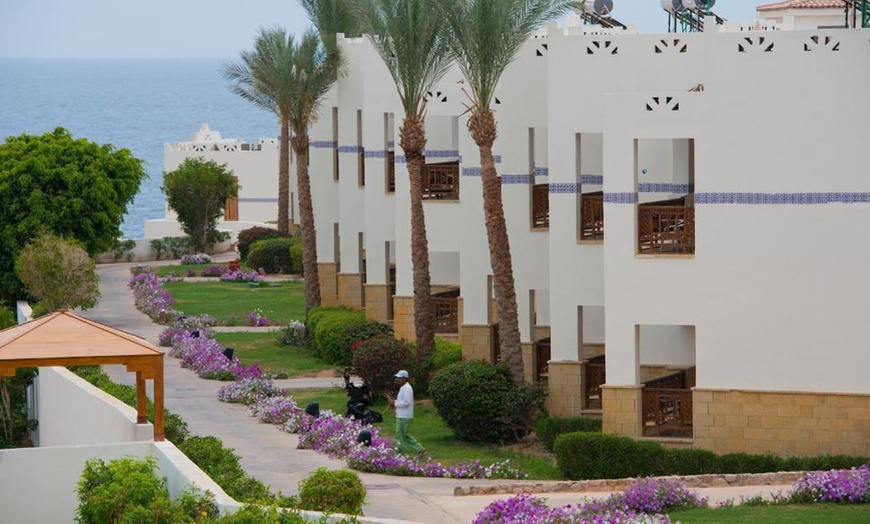 Image 5: ✈ Sharm El Sheik: volo diretto più 5 o 7 notti in hotel All Inclusive