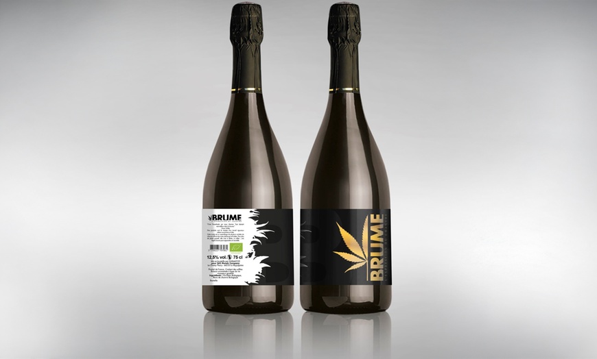 Image 3: Dégustation - assemblage de vin au chanvre dans un chai avec Brume CBD