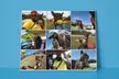 Photo Mosaic from Canvas Champ - Second Medium