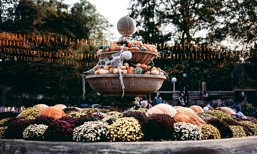 Image 6: Eintritt für 1 Erwachsenen / 1 Kind für Halloween im Bellewaerde Park