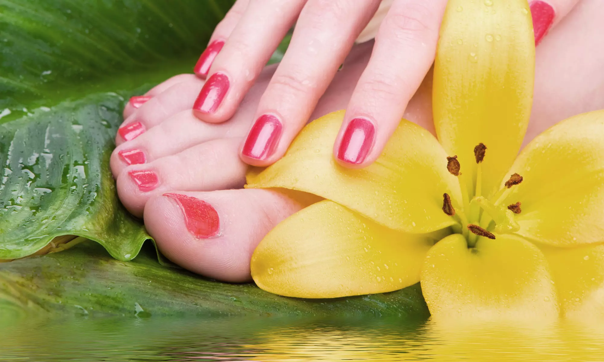 Brazilian Spa Manicure or Spa Manicure and Deluxe Pedicure from Carla's Nails at V.I.P. Hair Studio (Up to 51% Off) - Primary Image