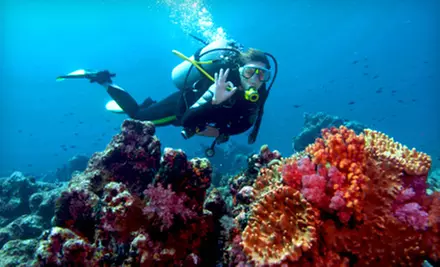 Three-Hour Introductory Indoor Scuba-Diving Class for One or Two at Benthic Scuba Center (Up to 65% Off) - Primary Image