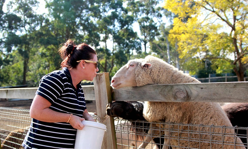 Image 4: Golden Ridge Animal Farm Entry