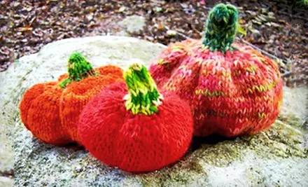 $10 for $20 Worth of Yarn or Hat-and-Glove or Pumpkin Knitting Kit at The Yarne Source in Pittsford (Up to 51% Off) - Primary Image