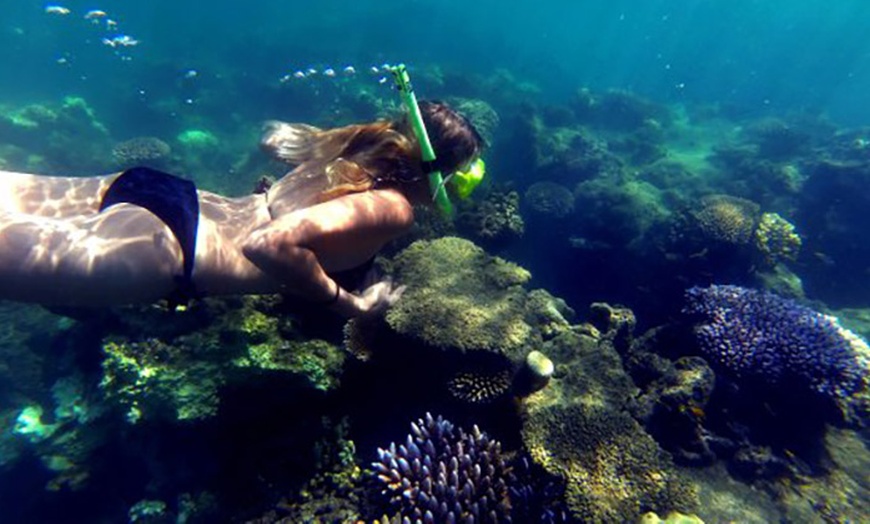 Image 5: Bautismo de esnórquel desde la playa para 1 o 2 personas 