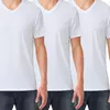 White - White - White
