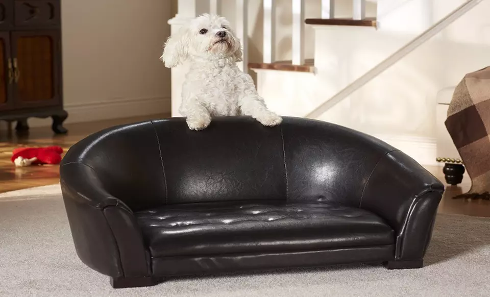 Pet Beds and Loungers. Multiple Options Available. Free Shipping and Returns. - Second Medium