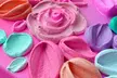 Join a Creative Impasto Floral Painting Workshop for Up to Eight People @Artkookoo Art Studio (Up to 31%Off) - Image 3