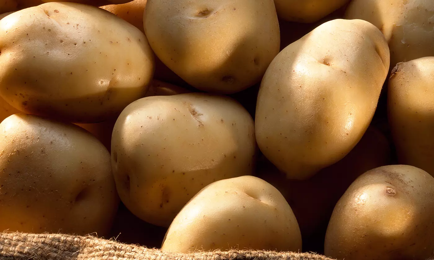 Grow Your Own Potatoes: Potato Plant with Grow Pot - Second Medium
