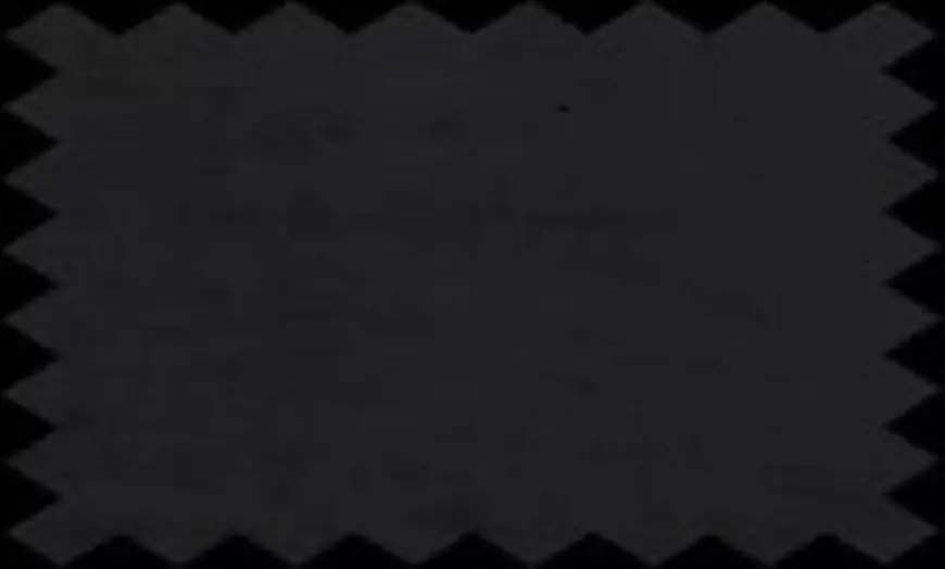 Image 4: Atlantis Button Bed Frame in Plush or Crush Velvet Fabric