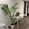 Image 9: 60/90/120-Min Therapeutic Massages Packages with Aromatherapy and More