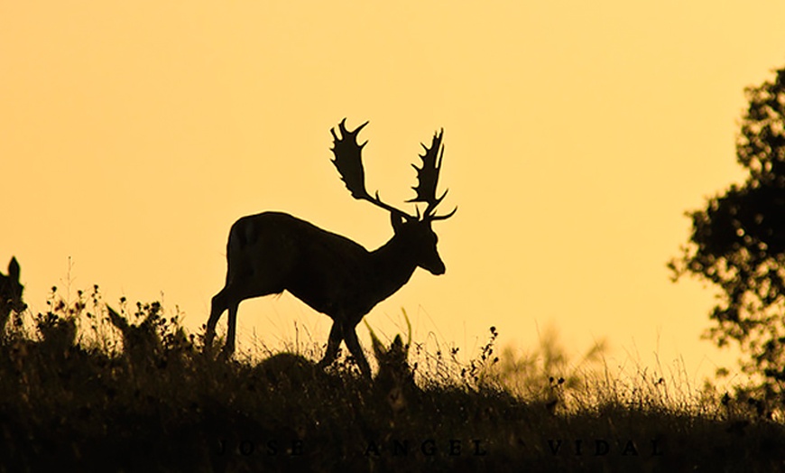 Image 1: Hasta 56% de dto. en CENTRO ANDALUZ DE LA FAUNA SALVAJE