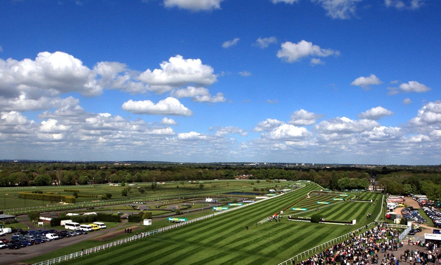 Image 3: Sandown Park Racecourse: Countryside Day