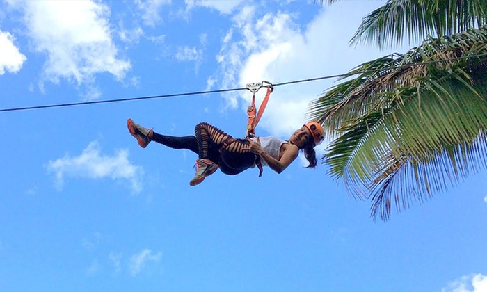 Four-, Five-, or Seven-Line Zipline Tour for Two People at Jungle Zipline Maui (Up to 37% Off) - Primary Image