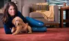 Three Rooms of Carpet Cleaning or Upholstery Cleaning for a Couch and Chair from Oxi Fresh (Up to 52% Off)