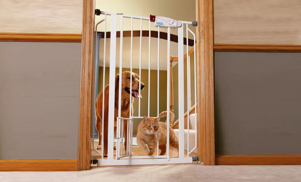 Walk-Thru Pet Gate. Multiple Sizes Available. Free Returns. - Primary Image