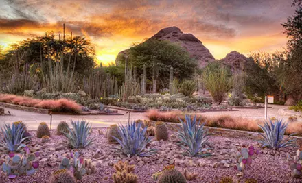 $35 for a One-Year Senita Club Family Membership for to Desert Botanical Garden ($75 Value) - Primary Image